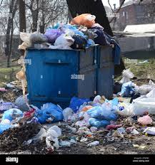 Best Yard Waste Removal  in Logan, IA